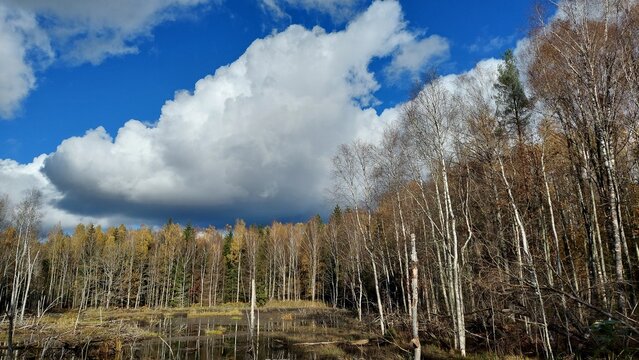 Autumn in Krasnolesye. Vishtynetsky Nature Park. Kaliningrad region