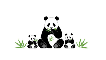 Illustration of a giant panda and two cubs sitting with green bamboo shoots on a white background with grass. © Rizaldy