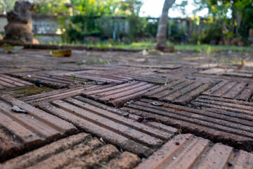 Garden walkway Background Textured