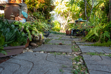 Garden walkway Background Textured
