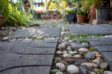 Garden walkway Background Textured
