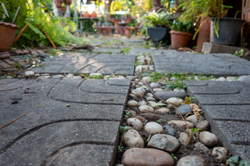 Garden walkway Background Textured