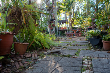 Garden walkway Background Textured