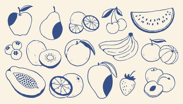 Hand drawn fruit vector illustration set with apples, bananas, citrus, berries and tropical fruits. Minimal blue line art food collection for packaging, branding, menus and healthy design