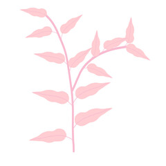 Minimalist plant with pink leaves illustration graphic hand-drawn art