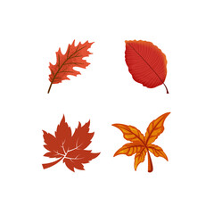Fototapeta premium Autumn fall leaves illustration set with warm seasonal colors