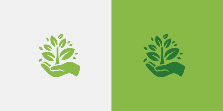 A hand holding a green plant on a split background of white and green 2
