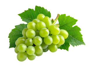Fresh bunch of dark purple grapes with green leaf isolated on white background