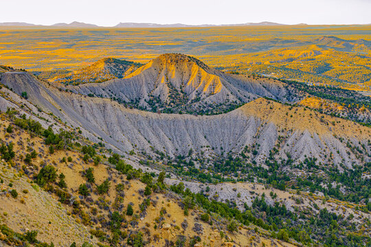 A detailed view of the unique geological erosion and grayish-tan ridges characteristic of the Mancos Shale layers within Mesa Verde National Park.