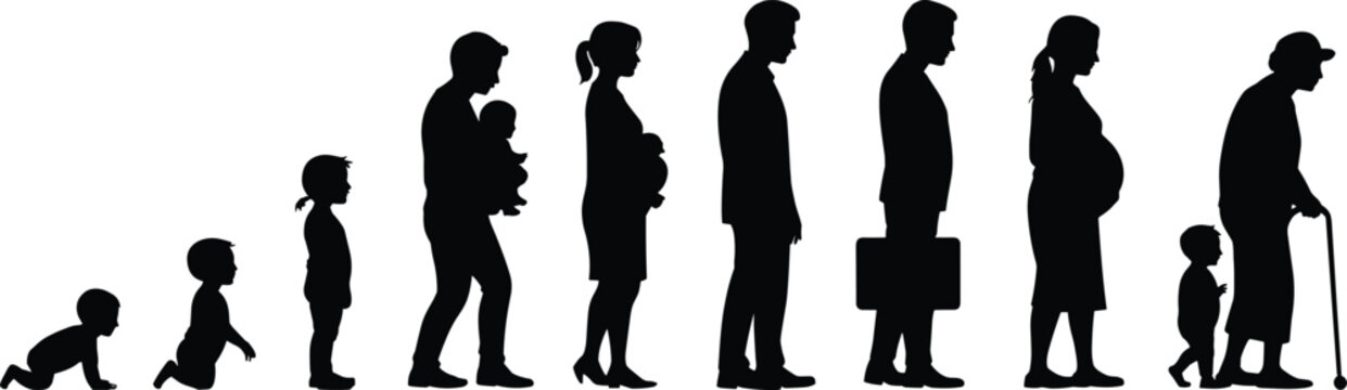 Human life stages silhouettes collection showing baby, child, parent, professional, pregnancy and elderly walking with cane, life cycle and generation concept