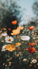 Field of flowers with yellow and red flowers