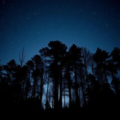A shadowy forest silhouette against a dim, star-dusted sky, evoking mystery, forest,  wilderness