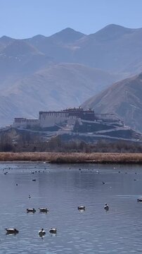 A breathtaking long shot of the historic Potala Palace in Lhasa, Tibet. The iconic red and white architecture stands against a backdrop of rolling mountains, with a tranquil lake in the foreground whe