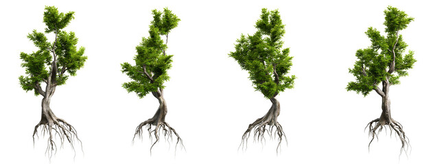 Unique fantasy tree with twisted trunk and exposed roots isolated on transparent background 3d rendering png © Natural Form Studio