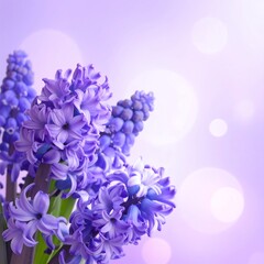 Fototapeta premium A bunch of purple flowers with green leaves on a purple background