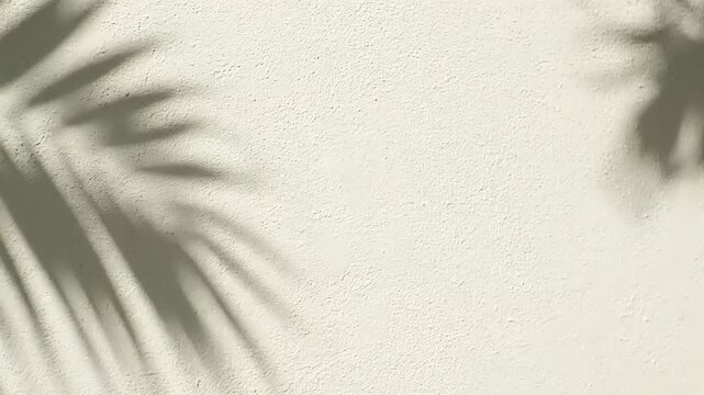 Soft shadow of tropical palm leaves cast on a textured, off-white wall, creating a minimalist, organic, and calming scene. Summer, sunlight.
