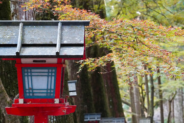 京都貴船神社の参道の朱塗りの灯籠