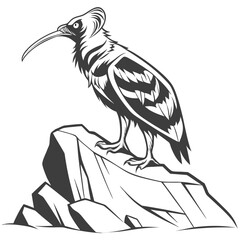 Fototapeta premium Black and white of a bird standing on rocks animal