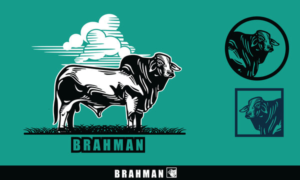 brahman great cattle standing in field logo, silhouette of big bull vector illustrations