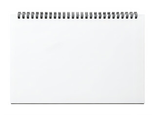 A collection of various types of dice displayed on a white background