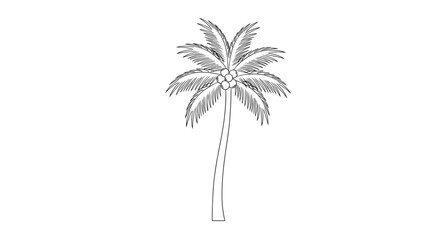 Obraz premium Palm Tree Illustration Isolated White.