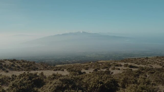 Haleakalā Highway, East Maui Volcano, Hawaii. shield volcano. Leptecophylla tameiameiae, pūkiawe or maiele.. Family Ericaceae. In the distance are The West Maui Mountains (West Maui Volcano, or Mauna 