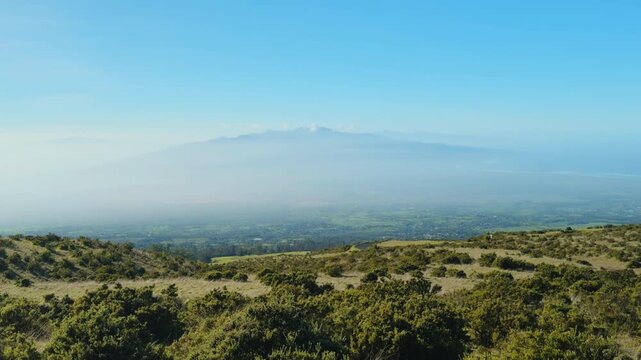 Haleakalā Highway, East Maui Volcano, Hawaii. shield volcano. Leptecophylla tameiameiae, pūkiawe or maiele.. Family Ericaceae. In the distance are The West Maui Mountains (West Maui Volcano, or Mauna 
