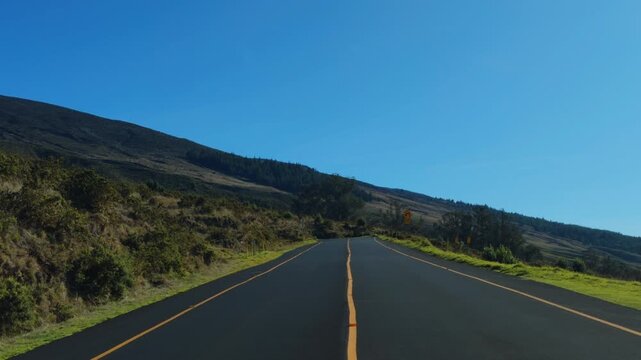 Haleakalā Highway, East Maui Volcano, Hawaii. shield volcano. Leptecophylla tameiameiae, pūkiawe or maiele.. Family: Ericaceae