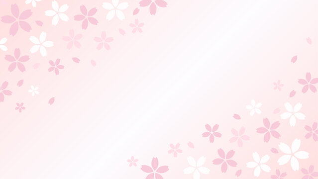 柔らかい印象の桜とグラデーションの背景16:9