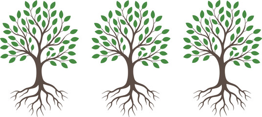 Obraz premium Three decorative green trees with roots and branches, eco nature design, environmental growth concept, symmetrical botanical illustration
