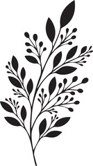 Stylized black silhouette of a delicate botanical branch with leaves and berries, isolated on a transparent background. This elegant vector illustration features a minimalist design suitable for