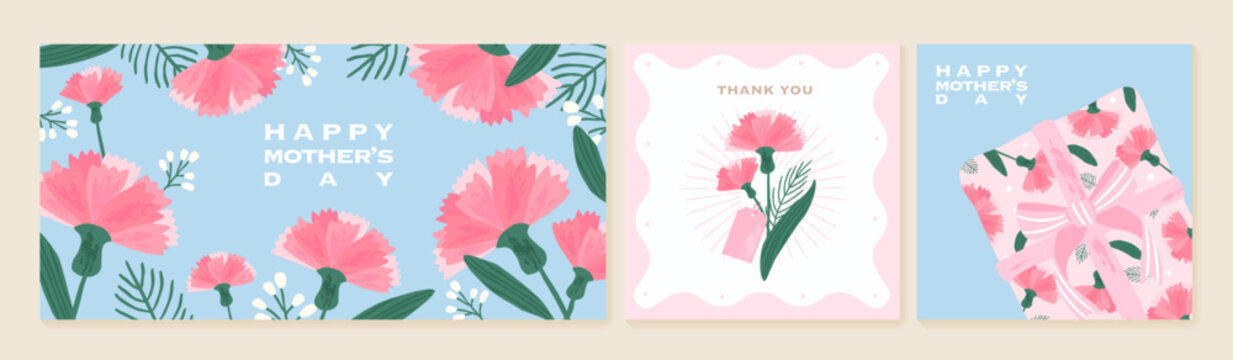 Pink carnation set for Mothers Day [Converted]