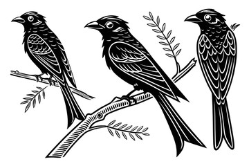 Fototapeta premium A black and white illustration of three birds perched on a branch with leaves