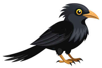 Fototapeta premium A vibrant black bird with yellow eyes and beak stands on a white background in this modern illustration