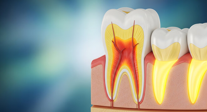 Detailed anatomical cross section of a human tooth structure with glowing affected area on adjacent gum