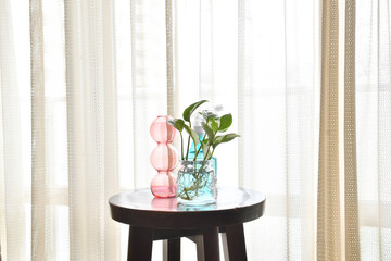 窓辺の観葉植物