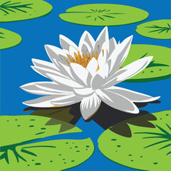 Water Lily