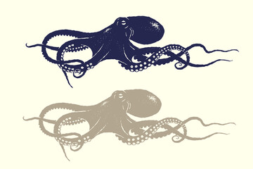 Vintage octopus vector illustration in hand drawn silhouette textured vintage ink details style, retro octopus with flowing tentacles in two color variations isolated on white background © Muhammad