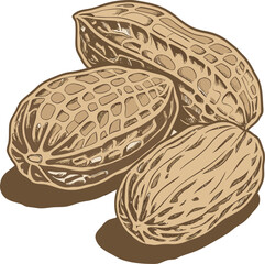 Fototapeta premium peanuts in a basket