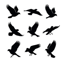 Obraz premium Set of silhouettes of birds
