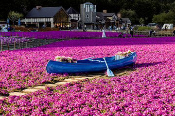 山梨県　富士芝桜まつり