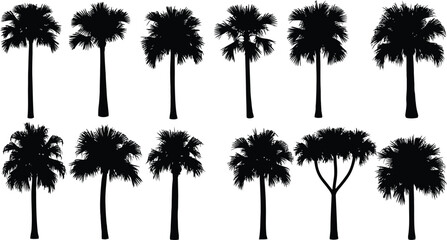 A collection of various palm tree silhouettes on a white background. © ZASNA