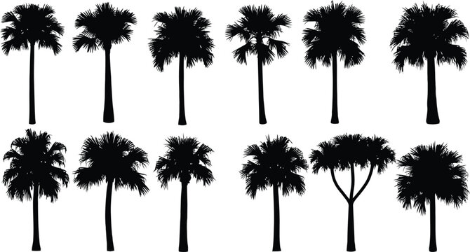A collection of various palm tree silhouettes on a white background.