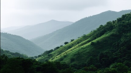 Obraz premium Asian mountain valley with layered depth and mist, no people, copy space