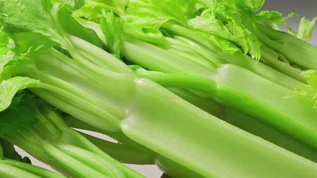 Fresh celery in a wooden bowl.