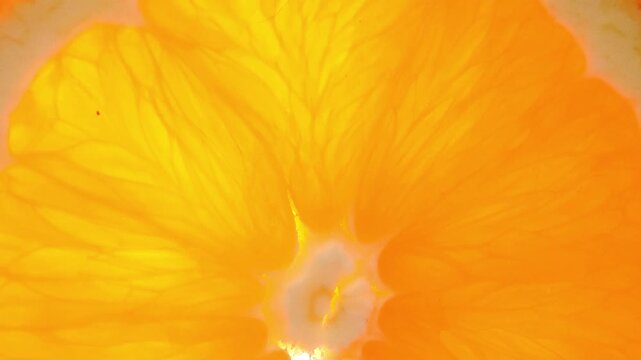 Close-up of a fresh orange.