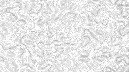 Topography map on white background. Contour line abstract terrain relief texture. Geographic wavy landscape. Vector illustration. 