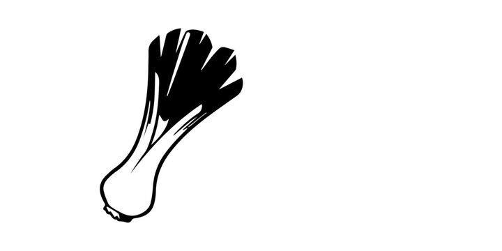 Silhouette of a green onion with roots on a black background scallion spring onion