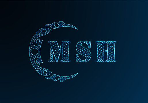 Low poly letter logo MSH design. MSH letter logo low poly vector design on blue color gradient background. MSH logo low poly design