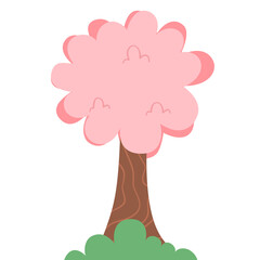 Cherry blossom tree in full bloom with brown trunk